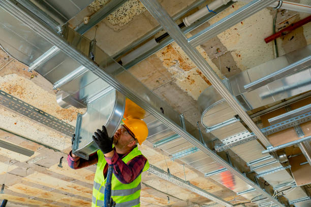 Best Local HVAC Companies  in Ruhenstroth, NV